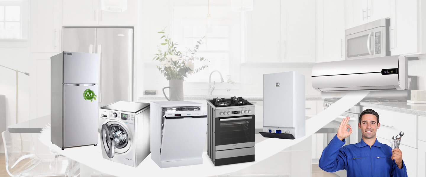Küçükyalı Vaillant Servisi
